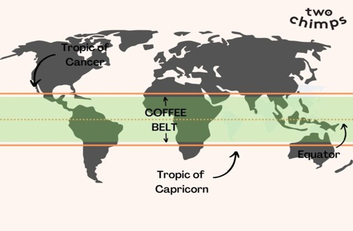 خارطة مصدر البن (موقع twochimpscoffee.com)