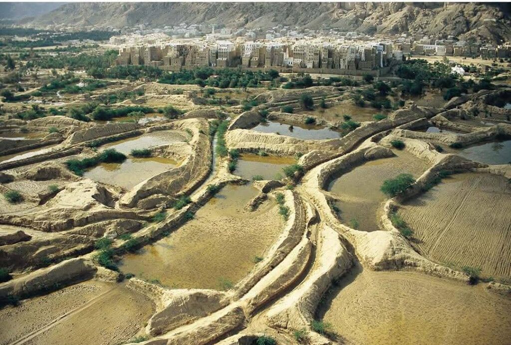 صورة للأرض الجروب الزراعية المحيطة بشبام التي تظهر كثمار معلقة على غصون شجرة فروعها كما تظهر وهي السواقي الرئيسة والفرعية الصورة التقطت قبل ٢٠ عاما بتصوير طيران شراعي لمصور فرنسي محترف