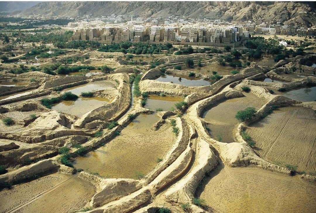 صورة للأرض الجروب الزراعية المحيطة بشبام التي تظهر كثمار معلقة على غصون شجرة فروعها كما تظهر وهي السواقي الرئيسة والفرعية الصورة التقطت قبل ٢٠ عاما بتصوير طيران شراعي لمصور فرنسي محترف